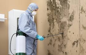 Best Residential Mold Inspection & Testing  in Asbury Lake, FL